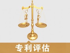 專(zhuān)利的價(jià)值評(píng)估，新手賣(mài)家必看